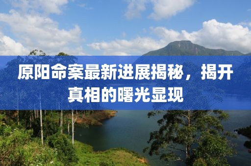原阳命案最新进展揭秘，揭开真相的曙光显现