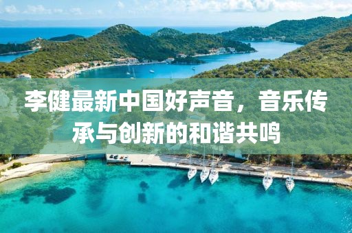 李健最新中国好声音，音乐传承与创新的和谐共鸣