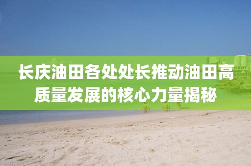长庆油田各处处长推动油田高质量发展的核心力量揭秘