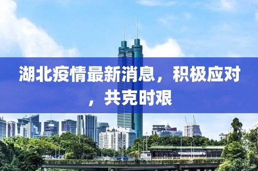 湖北疫情最新消息，积极应对，共克时艰