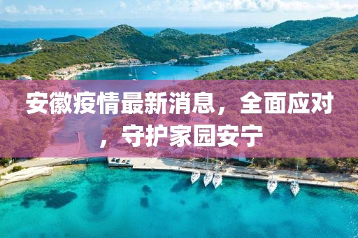 安徽疫情最新消息，全面应对，守护家园安宁
