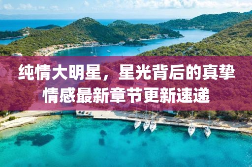 纯情大明星，星光背后的真挚情感最新章节更新速递