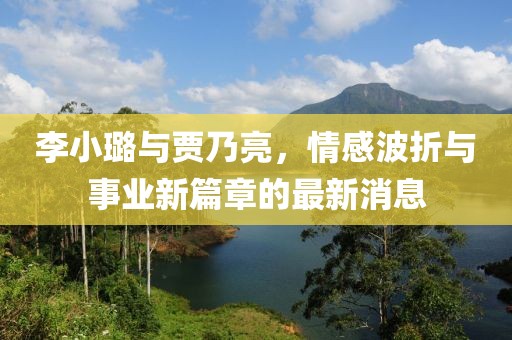 李小璐与贾乃亮，情感波折与事业新篇章的最新消息