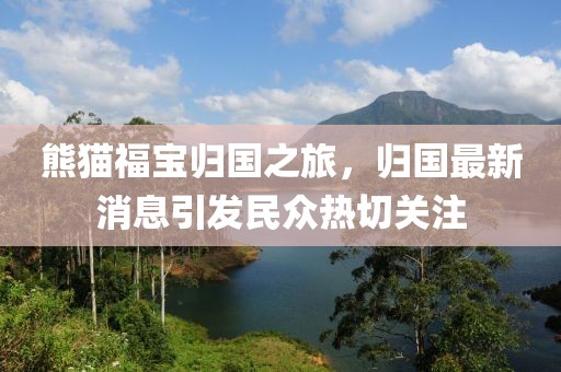 熊猫福宝归国之旅，归国最新消息引发民众热切关注