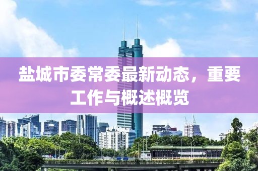 盐城市委常委最新动态，重要工作与概述概览