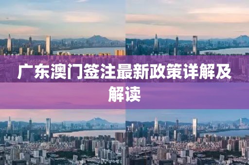 广东澳门签注最新政策详解及解读