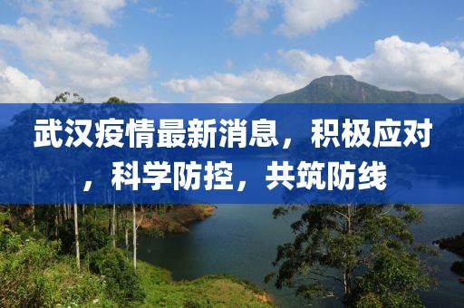 武汉疫情最新消息，积极应对，科学防控，共筑防线