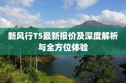 新风行T5最新报价及深度解析与全方位体验