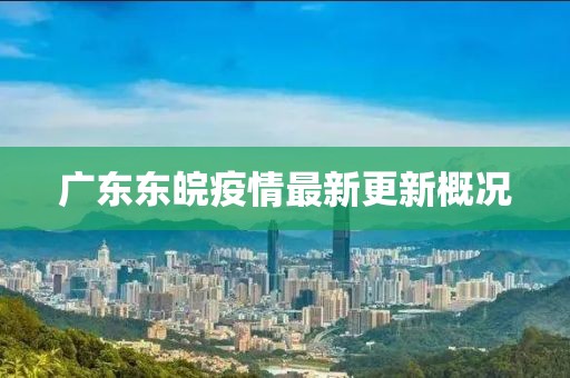 广东东皖疫情最新更新概况
