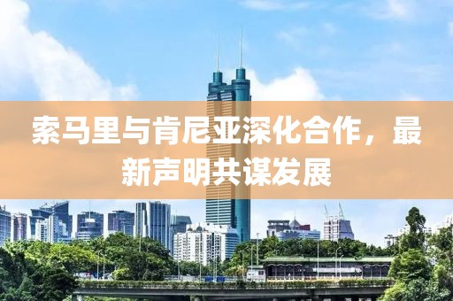 索马里与肯尼亚深化合作，最新声明共谋发展