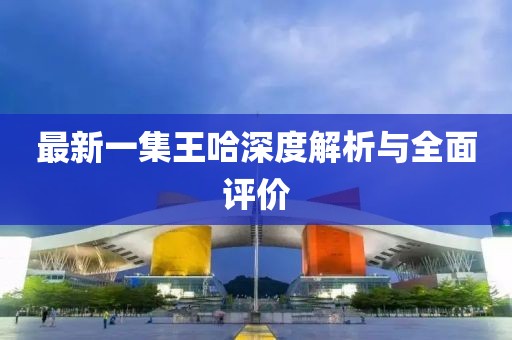 最新一集王哈深度解析与全面评价