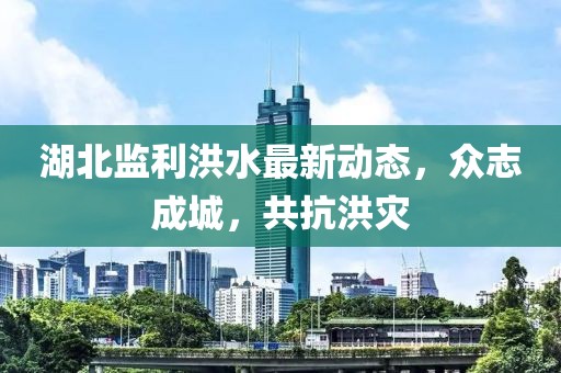 湖北监利洪水最新动态，众志成城，共抗洪灾