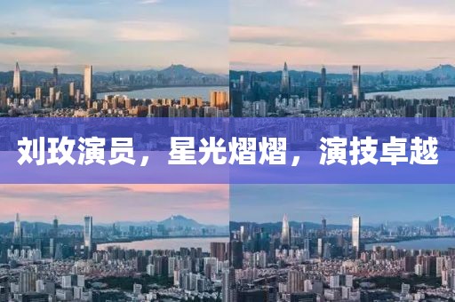 刘玫演员，星光熠熠，演技卓越