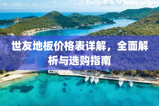 世友地板价格表详解，全面解析与选购指南