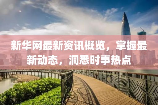 新华网最新资讯概览，掌握最新动态，洞悉时事热点