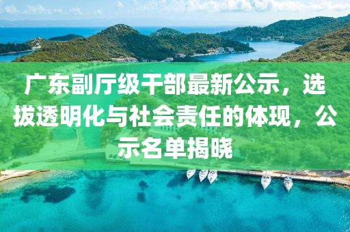 广东副厅级干部最新公示，选拔透明化与社会责任的体现，公示名单揭晓