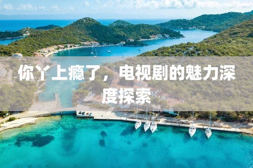 你丫上瘾了，电视剧的魅力深度探索