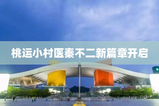 桃运小村医秦不二新篇章开启