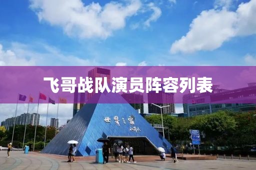 飞哥战队演员阵容列表