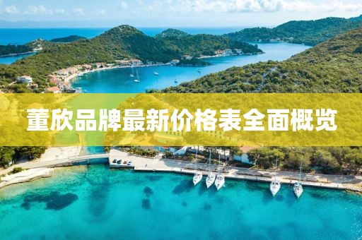 董欣品牌最新价格表全面概览