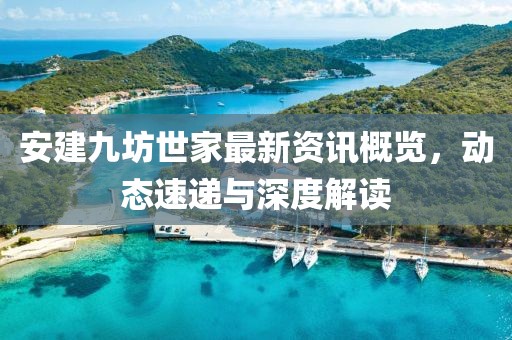 安建九坊世家最新资讯概览，动态速递与深度解读