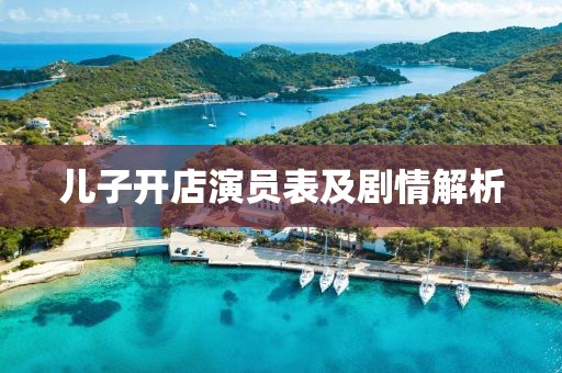 儿子开店演员表及剧情解析