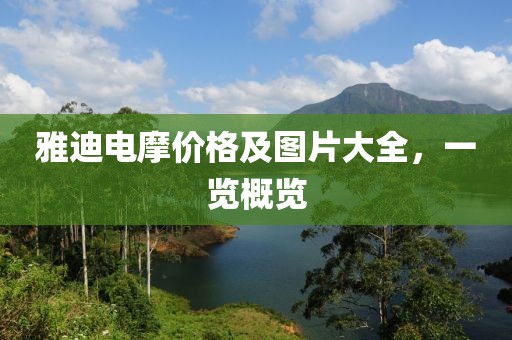 雅迪电摩价格及图片大全，一览概览