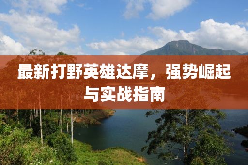 最新打野英雄达摩，强势崛起与实战指南