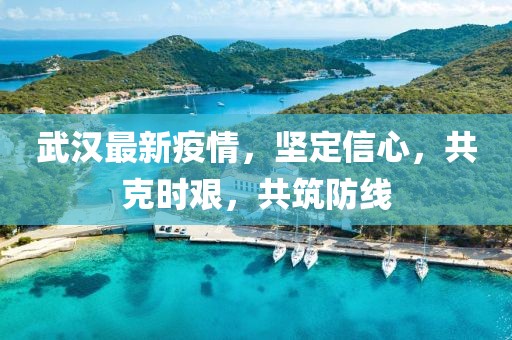 武汉最新疫情，坚定信心，共克时艰，共筑防线