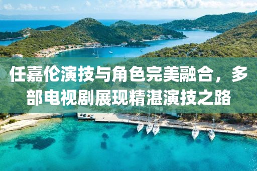 任嘉伦演技与角色完美融合，多部电视剧展现精湛演技之路