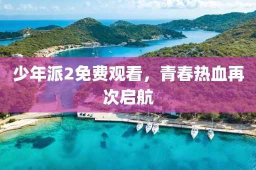 少年派2免费观看，青春热血再次启航