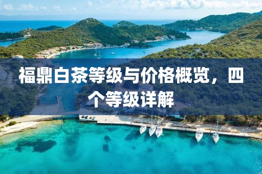 福鼎白茶等级与价格概览，四个等级详解
