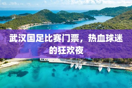 武汉国足比赛门票，热血球迷的狂欢夜