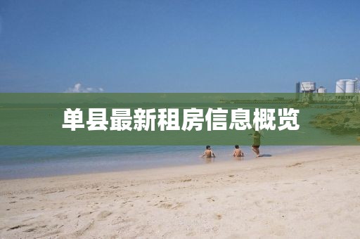 单县最新租房信息概览