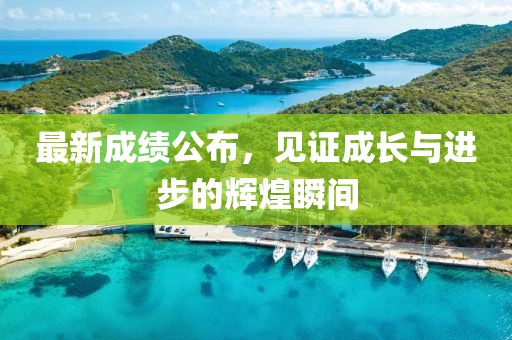 最新成绩公布，见证成长与进步的辉煌瞬间