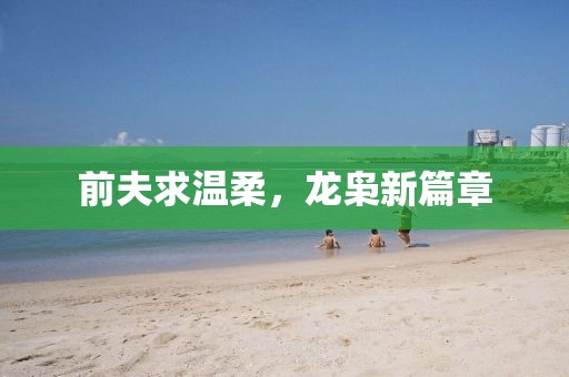 前夫求温柔，龙枭新篇章