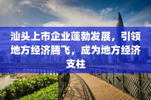 汕头上市企业蓬勃发展，引领地方经济腾飞，成为地方经济支柱