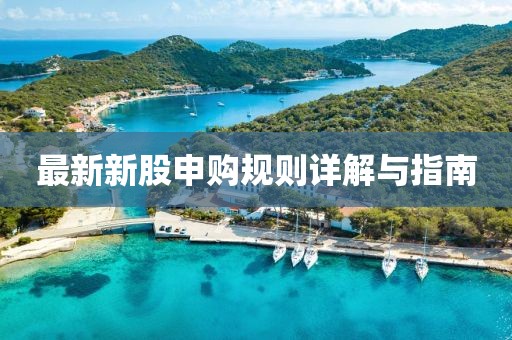 最新新股申购规则详解与指南