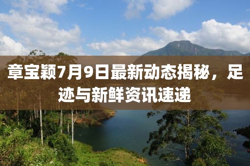 章宝颖7月9日最新动态揭秘，足迹与新鲜资讯速递