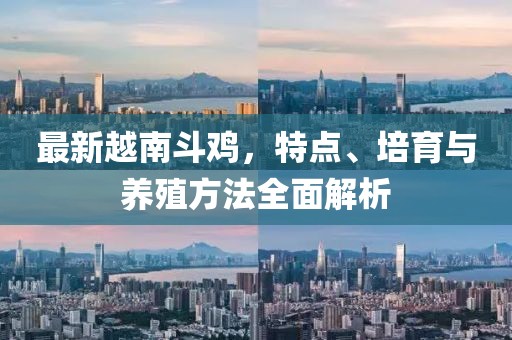 最新越南斗鸡，特点、培育与养殖方法全面解析