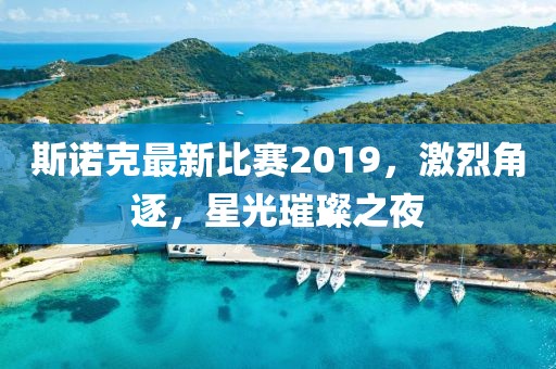 斯诺克最新比赛2019，激烈角逐，星光璀璨之夜