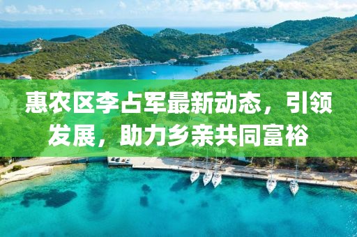 惠农区李占军最新动态，引领发展，助力乡亲共同富裕