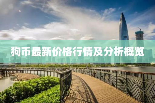 狗币最新价格行情及分析概览