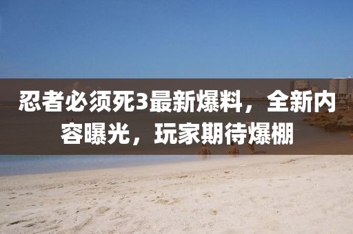 忍者必须死3最新爆料，全新内容曝光，玩家期待爆棚