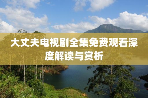 大丈夫电视剧全集免费观看深度解读与赏析