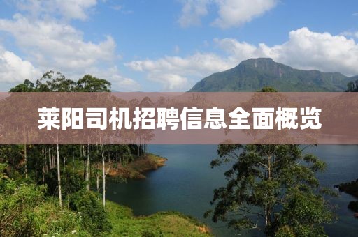 莱阳司机招聘信息全面概览