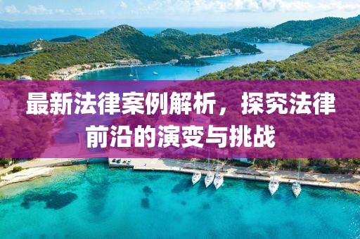 最新法律案例解析，探究法律前沿的演变与挑战
