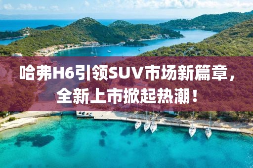 哈弗H6引领SUV市场新篇章，全新上市掀起热潮！
