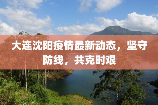 大连沈阳疫情最新动态，坚守防线，共克时艰