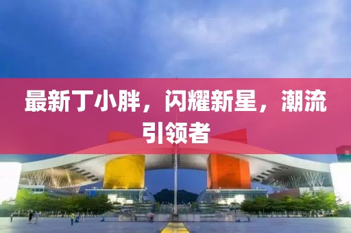 最新丁小胖，闪耀新星，潮流引领者
